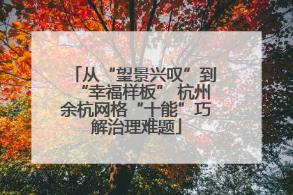 从“望景兴叹”到“幸福样板” 杭州余杭网格“十能”巧解治理难题