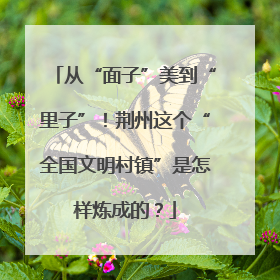 从“面子”美到“里子”！荆州这个“全国文明村镇”是怎样炼成的？