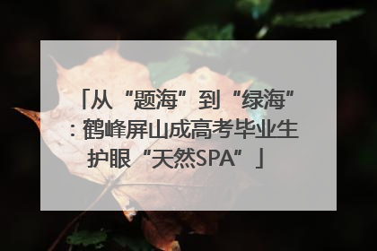从“题海”到“绿海”：鹤峰屏山成高考毕业生护眼“天然SPA”