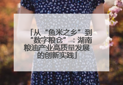 从“鱼米之乡”到“数字粮仓”：湖南粮油产业高质量发展的创新实践