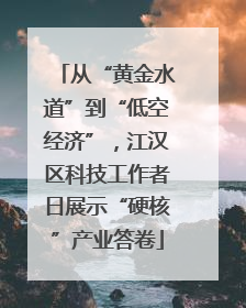 从“黄金水道”到“低空经济”，江汉区科技工作者日展示“硬核”产业答卷