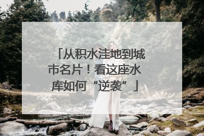 从积水洼地到城市名片！看这座水库如何“逆袭”