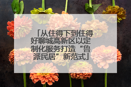 从住得下到住得好聊城高新区以定制化服务打造“鲁派民居”新范式