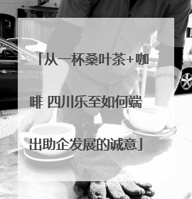 从一杯桑叶茶+咖啡 四川乐至如何端出助企发展的诚意