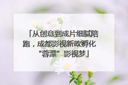 从创意到成片细腻陪跑，成都影视新政孵化“蓉漂”影视梦