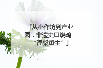 从小作坊到产业园，非遗史口烧鸡“涅槃重生”