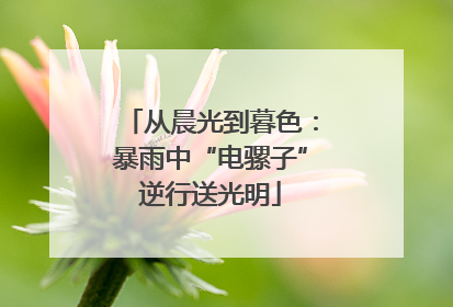 从晨光到暮色：暴雨中“电骡子”逆行送光明