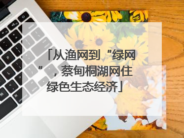从渔网到“绿网”，蔡甸桐湖网住绿色生态经济