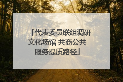 代表委员联组调研文化场馆 共商公共服务提质路径