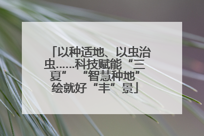 以种适地、以虫治虫……科技赋能“三夏” “智慧种地”绘就好“丰”景