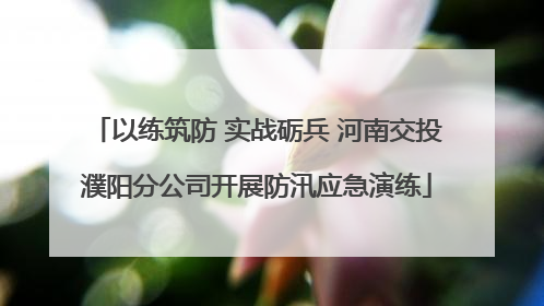 以练筑防 实战砺兵 河南交投濮阳分公司开展防汛应急演练
