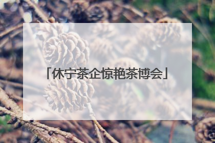 休宁茶企惊艳茶博会