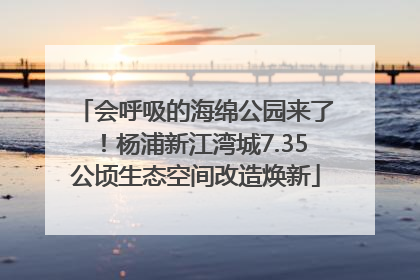 会呼吸的海绵公园来了！杨浦新江湾城7.35公顷生态空间改造焕新