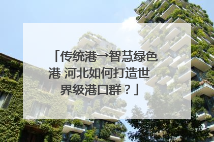 传统港→智慧绿色港 河北如何打造世界级港口群？