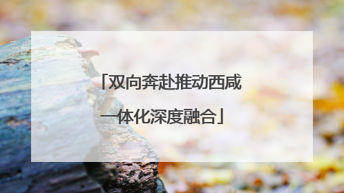 双向奔赴推动西咸一体化深度融合