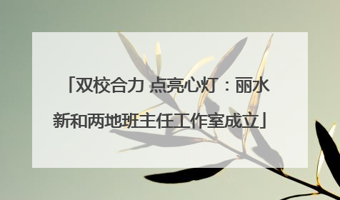 双校合力 点亮心灯：丽水新和两地班主任工作室成立