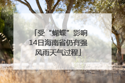 受“蝴蝶”影响 14日海南省仍有强风雨天气过程