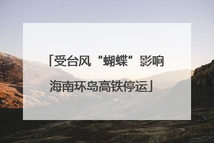 受台风“蝴蝶”影响 海南环岛高铁停运