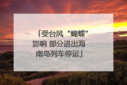 受台风“蝴蝶”影响 部分进出海南岛列车停运