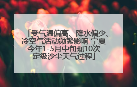 受气温偏高、降水偏少、冷空气活动频繁影响 宁夏今年1-5月中旬现10次定级沙尘天气过程