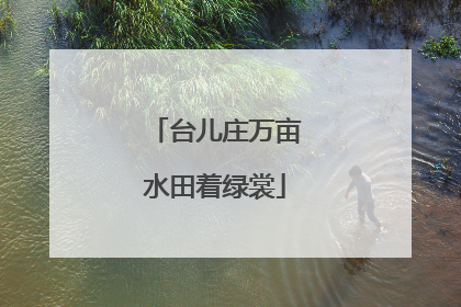 台儿庄万亩水田着绿裳
