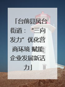 台前县凤台街道：“三向发力”优化营商环境 赋能企业发展新活力