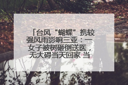 台风“蝴蝶”携较强风雨影响三亚：一女子被树砸倒送医，无大碍当天回家 当地已紧急清障