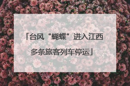 台风“蝴蝶”进入江西 多条旅客列车停运