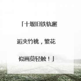 十堰旧铁轨邂逅夹竹桃，繁花似画莫轻触！
