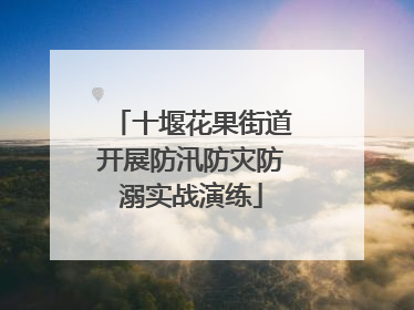 十堰花果街道开展防汛防灾防溺实战演练