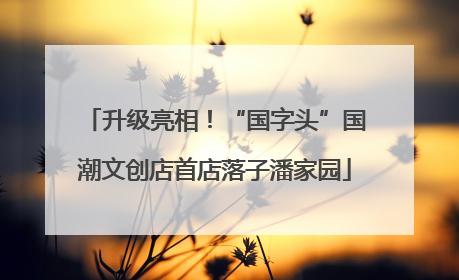 升级亮相！“国字头”国潮文创店首店落子潘家园