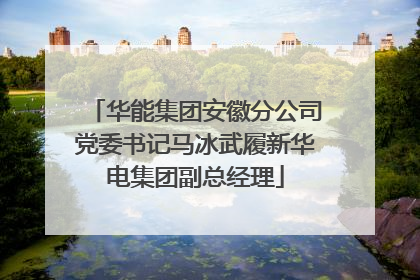 华能集团安徽分公司党委书记马冰武履新华电集团副总经理