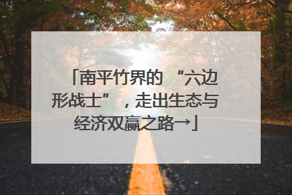 南平竹界的 “六边形战士”，走出生态与经济双赢之路→
