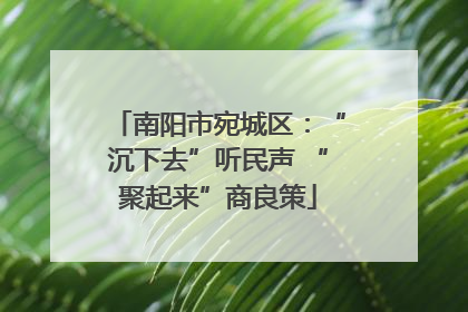 南阳市宛城区：“沉下去”听民声 “聚起来”商良策