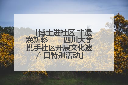 博士进社区 非遗焕新彩——四川大学携手社区开展文化遗产日特别活动