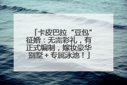 卡皮巴拉“豆包”征婚：无需彩礼，有正式编制，嫁妆豪华别墅＋专属泳池！
