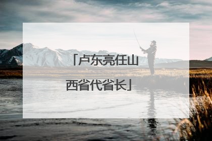 卢东亮任山西省代省长