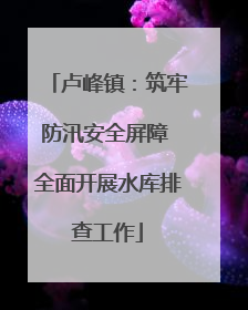 卢峰镇：筑牢防汛安全屏障 全面开展水库排查工作