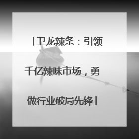 卫龙辣条：引领千亿辣味市场，勇做行业破局先锋