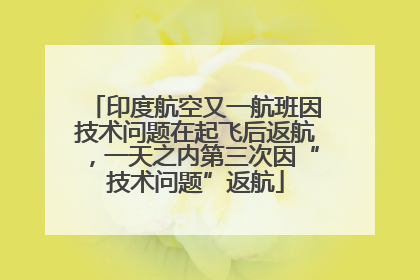 印度航空又一航班因技术问题在起飞后返航，一天之内第三次因“技术问题”返航