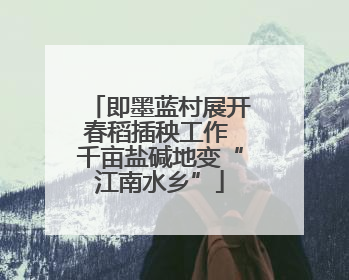 即墨蓝村展开春稻插秧工作 千亩盐碱地变“江南水乡”