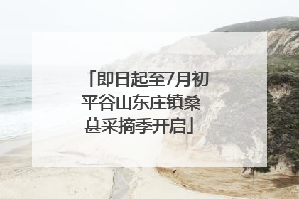 即日起至7月初 平谷山东庄镇桑葚采摘季开启