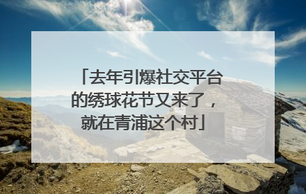 去年引爆社交平台的绣球花节又来了，就在青浦这个村