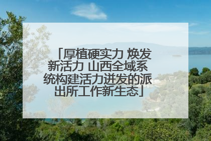 厚植硬实力 焕发新活力 山西全域系统构建活力迸发的派出所工作新生态