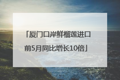 厦门口岸鲜榴莲进口 前5月同比增长10倍