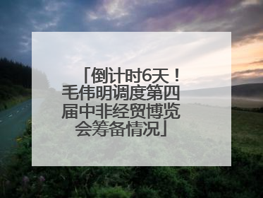 倒计时6天！毛伟明调度第四届中非经贸博览会筹备情况