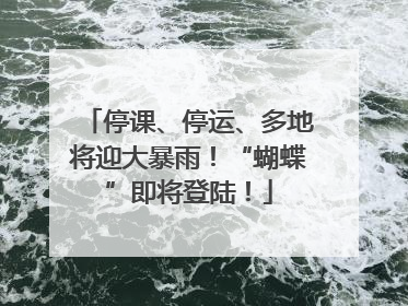 停课、停运、多地将迎大暴雨！“蝴蝶”即将登陆！
