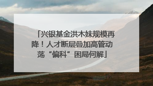 兴银基金洪木妹规模再降！人才断层叠加高管动荡“偏科”困局何解