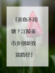 养鱼不用塘？江陵秦市乡创新致富路径