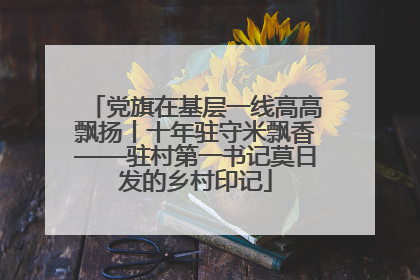 党旗在基层一线高高飘扬丨十年驻守米飘香——驻村第一书记莫日发的乡村印记